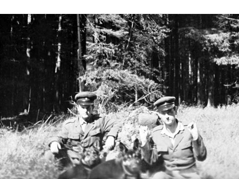 Foto 10